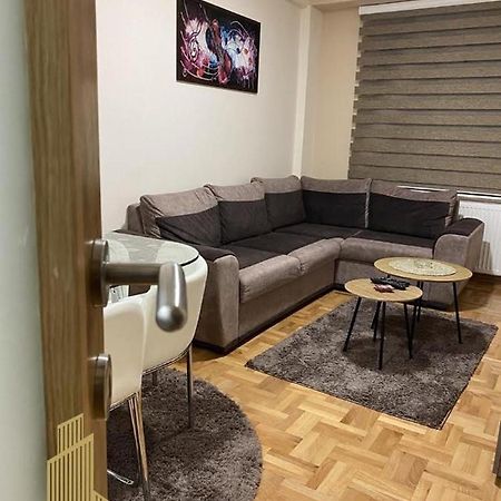 Mirkovic Lux Apartman Ni Esterno foto